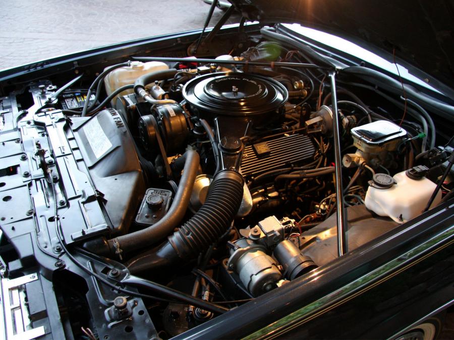  Cadillac Eldorado Biarritz 1984 года  (фото 5 из 5)